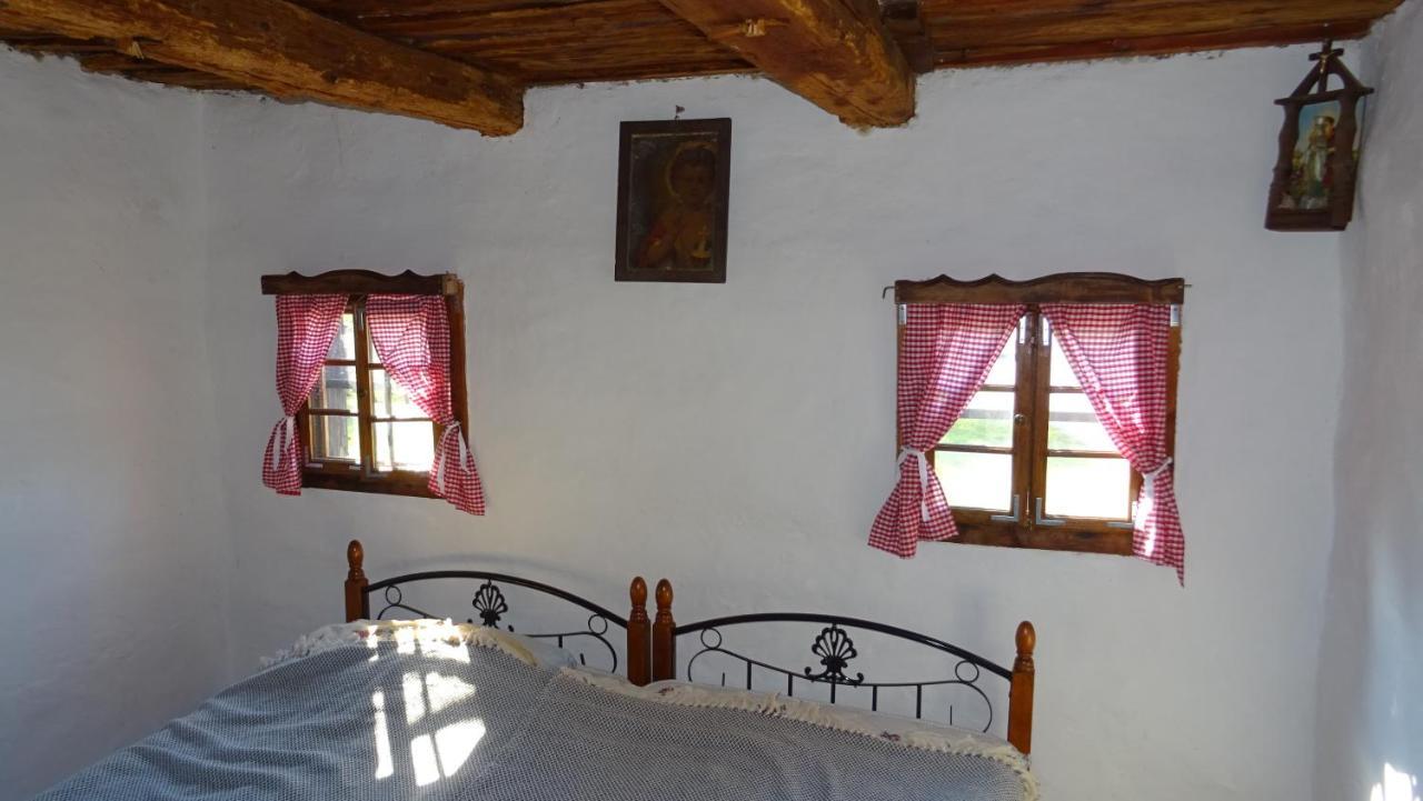 Homestay Kapl Ledinek Exteriör bild