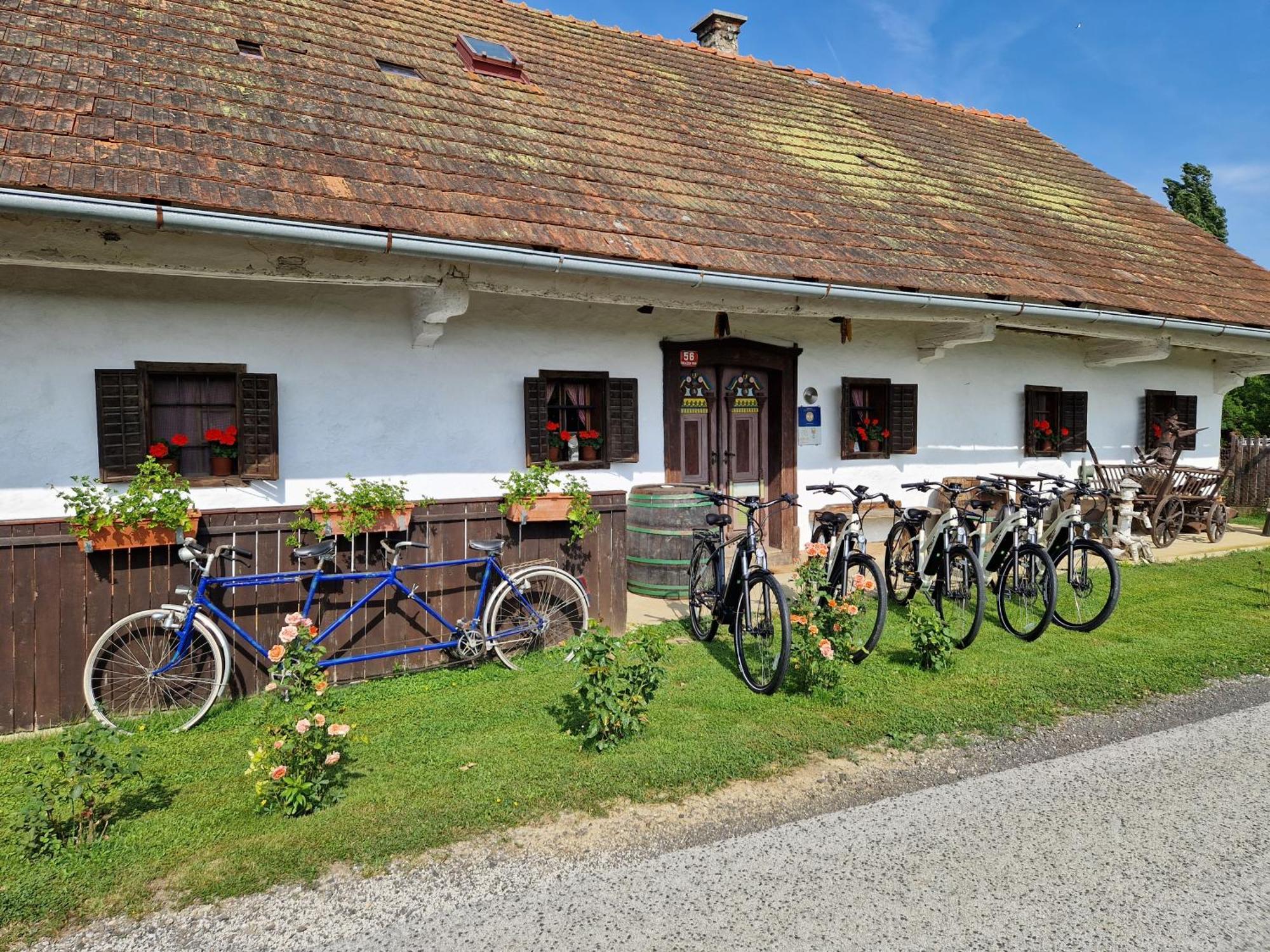 Homestay Kapl Ledinek Exteriör bild