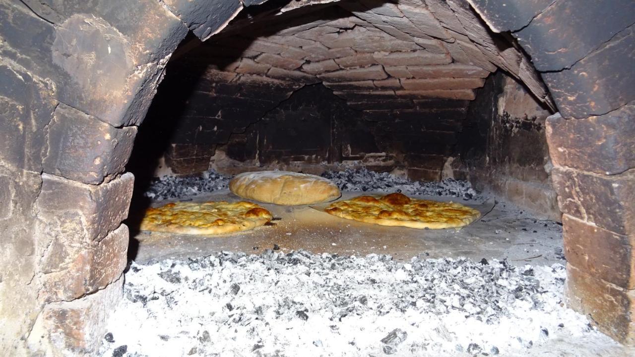 Homestay Kapl Ledinek Exteriör bild
