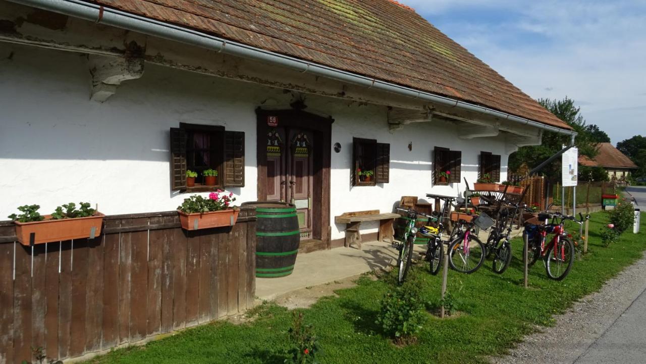 Homestay Kapl Ledinek Exteriör bild